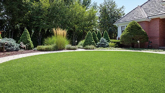 Lawn & outlet landscape